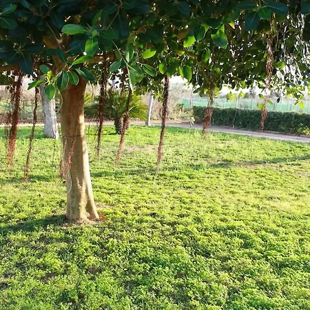 La Casa Bianca Séjour chez l'habitant Marsala
